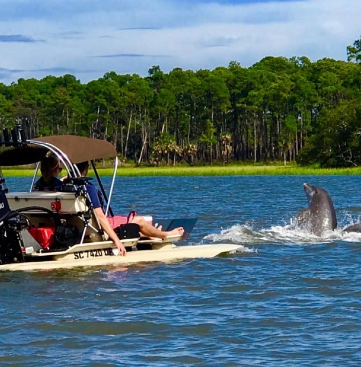 Two guests on a small submersible watch dolphins play in front of them